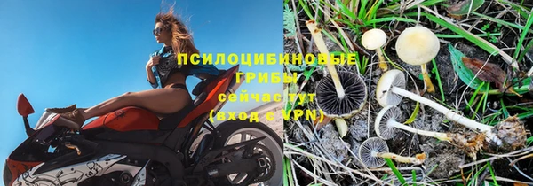 винт Абинск