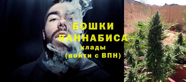 крисы Абдулино