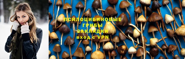крисы Абдулино