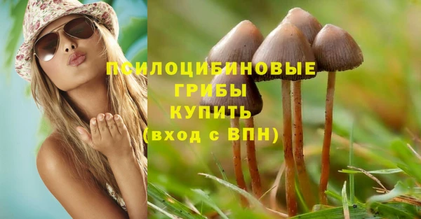 крисы Абдулино